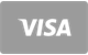 Visa Card metodă de plată acceptată